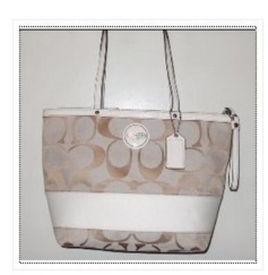 coach bags - 17433 whilte/coffee